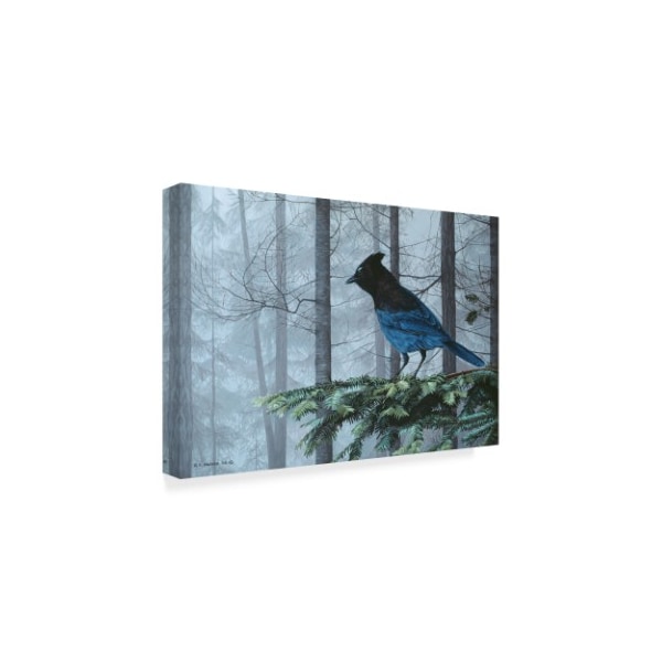 Ron Parker 'Stellers Jay In Fog' Canvas Art,16x24